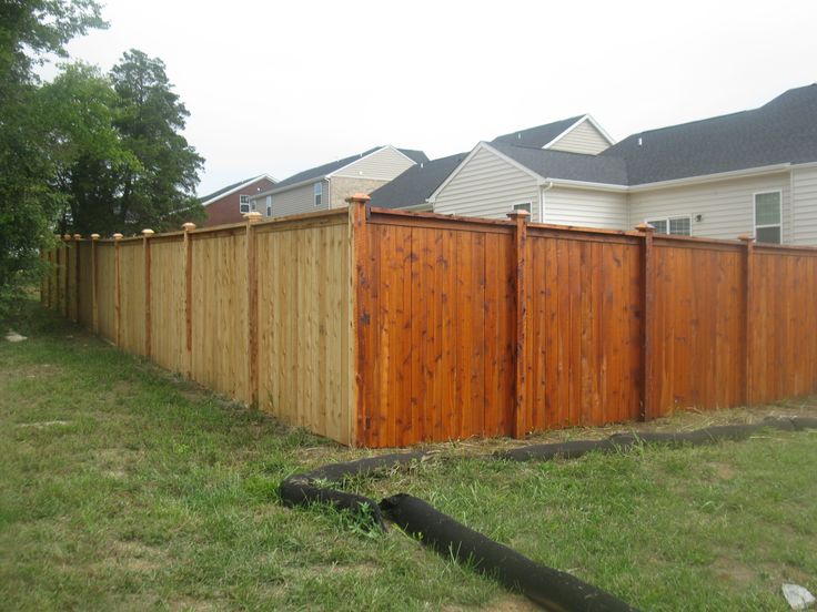 Deck and Fence Staining